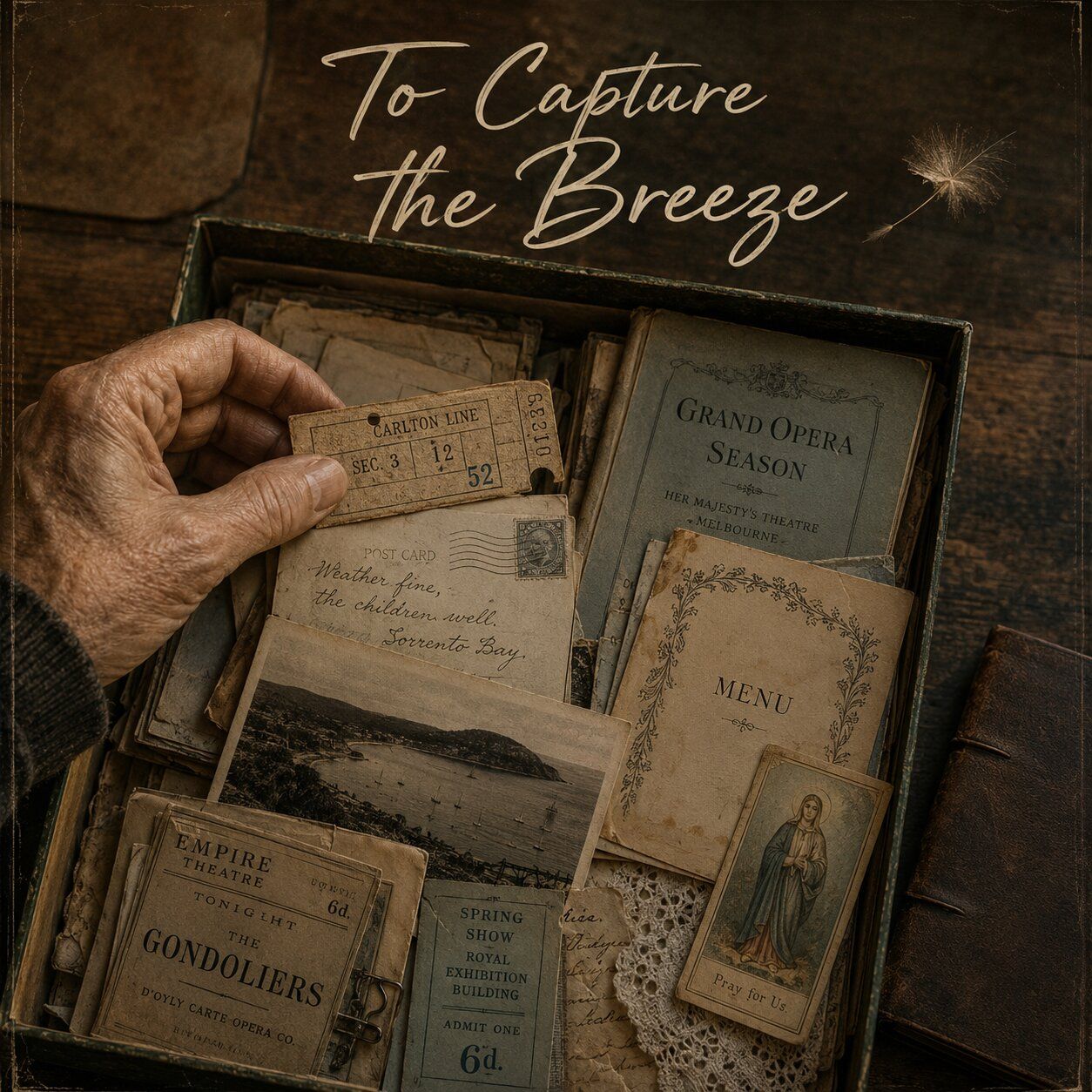 Cover image, captureTheBreeze, for the song To Capture the Breeze